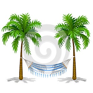 Hammock between two palm trees isolated on white background. Service on the beach. Vector cartoon close-up illustration.