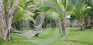 Hammock between two palm trees in Tropical Fiji. Relaxing stress-free environment