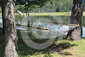 A hammock between two trees