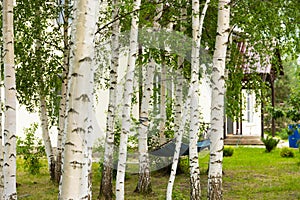 Hammock between two trees in the courtyard of the house