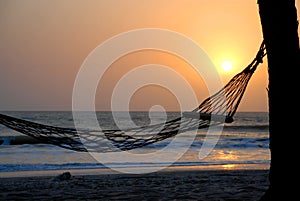 Hammock under a palm tree at sunset. Cap Skirring, Senegal