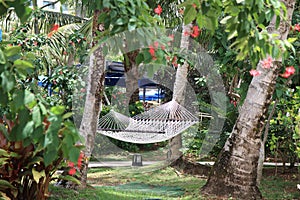 Hammock under the sun