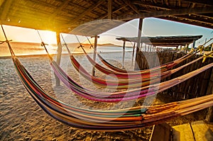 Hammocks photo