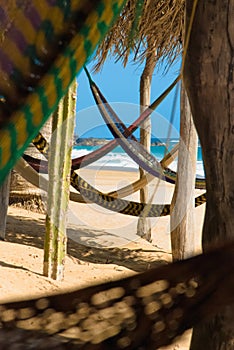 Hammocks photo