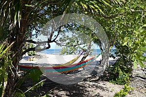 Hammocks by the beach