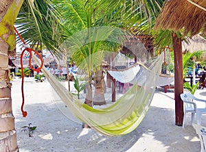 Hammocks on the beach