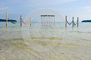 Hammocks on the beach of Koh Rong Sanloem island, Cambodia