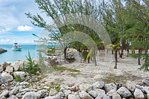 Hammocks, beach, ocean, and a boat