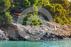 Hammocks near the coast