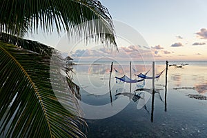 Hammocks in the Ocean