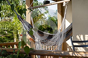 hammocks to rest and relax in a Caribbean resort on a sunny and warm day photo