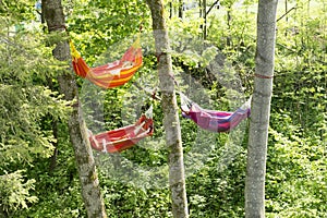 Hammocks between trees