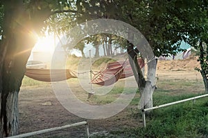 hammocks on trees, place