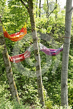 Hammocks between trees photo