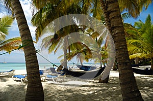 Hammocks Tropical beach. The Dominican Republic, Saona Island