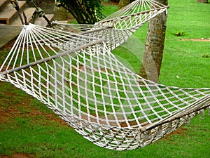 Hammocks