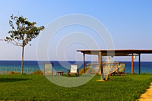 Hammok and sunbeds on a green grass in the summer ,on the background the beach and  blue sea.