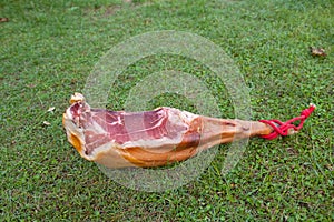 Hammon pork leg on the green grass photo
