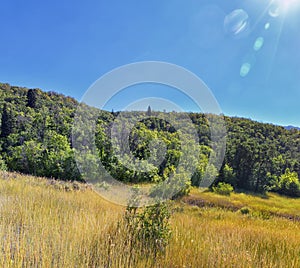 Hamongog hiking trail views Lone Peak Wilderness, Wasatch Front Rocky Mountains, Alpine, Utah.