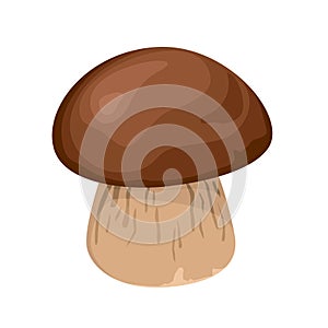 Champignon mushroom cartoon vector icon illustration of isolated on white.