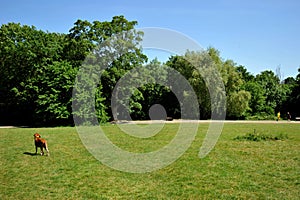 Hampstead Heath is a large, ancient London heath embracing ponds woodlands lido playgrounds and training track