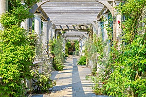 Hampstead Pergola and Hill Garden