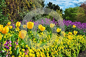 Hampton Court garden in spring, London, UK