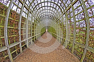 Hampton Court Palace photo