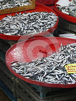 Hamsi anchovies in the Canakkale central market