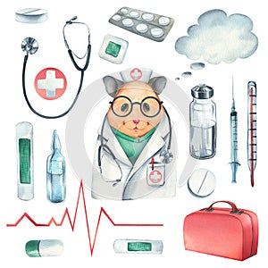 Hamster doctor in a dressing gown, glasses, with a stethoscope, a suitcase and medical instruments, pills, injections