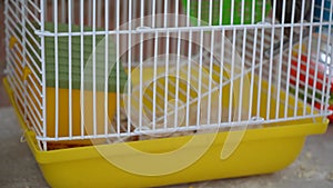 a hamster is gnawing on a metal cage, trying to get out of the cage.