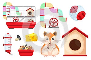 Hamster habitat and accessories. Rodent cage two level with tube, tunnel, exercise wheel. photo