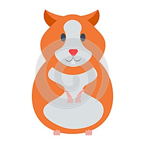 Hamster illustration.