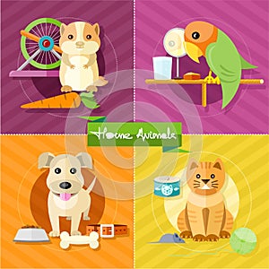 Hamster, parrot, cat and dog