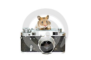 Hamster with photocamera