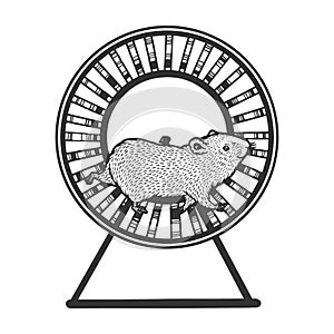 Hamster run in the wheel sketch engraving vector