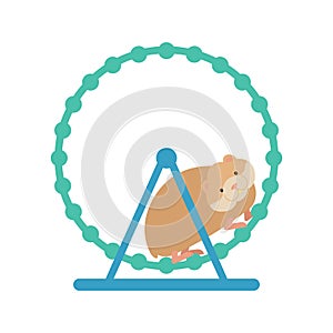 Hamster in wheel. Cute pet on white background. Home rodent