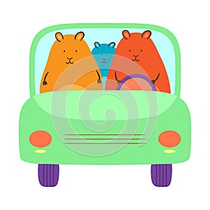 Hamsters In The Car