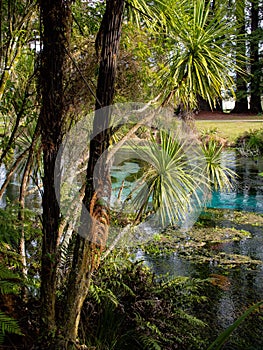 Hamurana Springs @ Rotorua, New Zealand