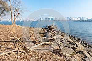 Han river and Seoul cityscape in winter in South Korea