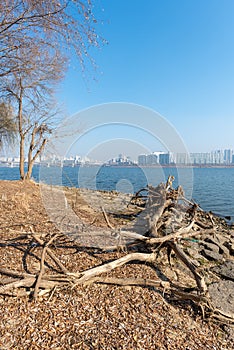 Han river and Seoul cityscape in winter in South Korea photo