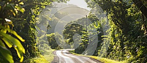 Hana Highway Drive Navigating The Twists Through Lush Rainforests