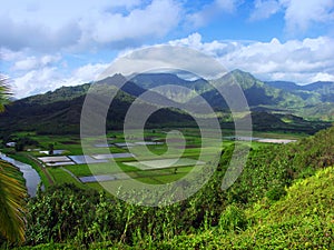 Hanalei lookout, kauai