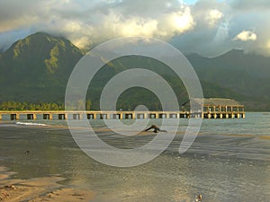 Hanalei Pier, Kauai photo