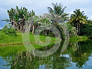 Hanalei River, Kauai