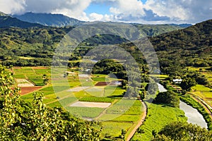 Hanalei Valley