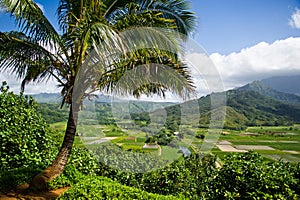 Hanalei Valley, Kauai