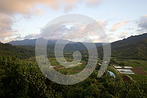 Hanalei Valley Lookout