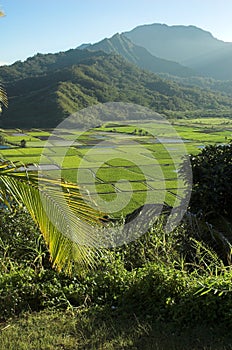 Hanalei Valley lookout at Kauai, Hawaii