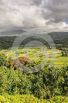 Hanalei Valley Lookout , Kauai, Hawaii